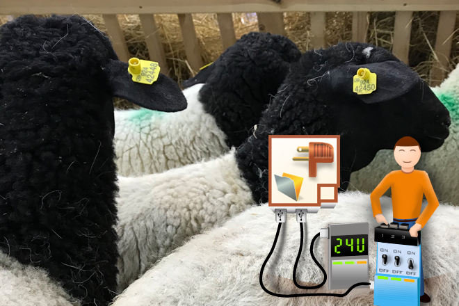 Sheep Sorting Is No Longer a Nightmare with 24U Phidgets Plug-In - Preview Image